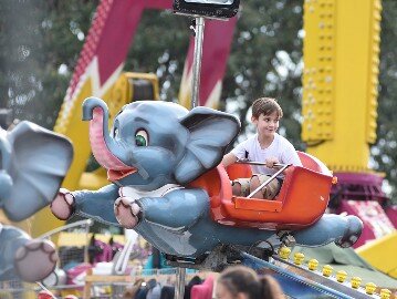 Dumbo - Moreno's Park